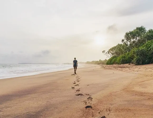 Sri Lanka in Summer