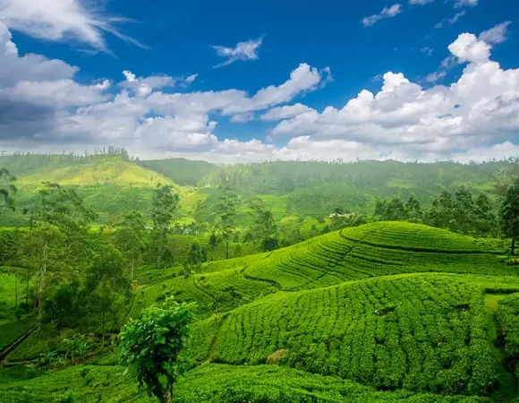 The Top 10 Destinations in Sri Lanka